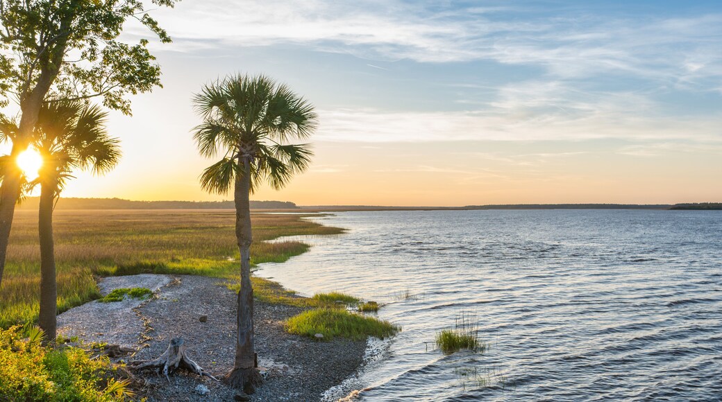 Palmetto Shores Lake