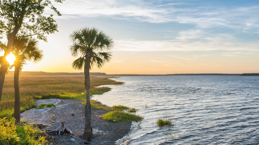 Palmetto Shores Lake