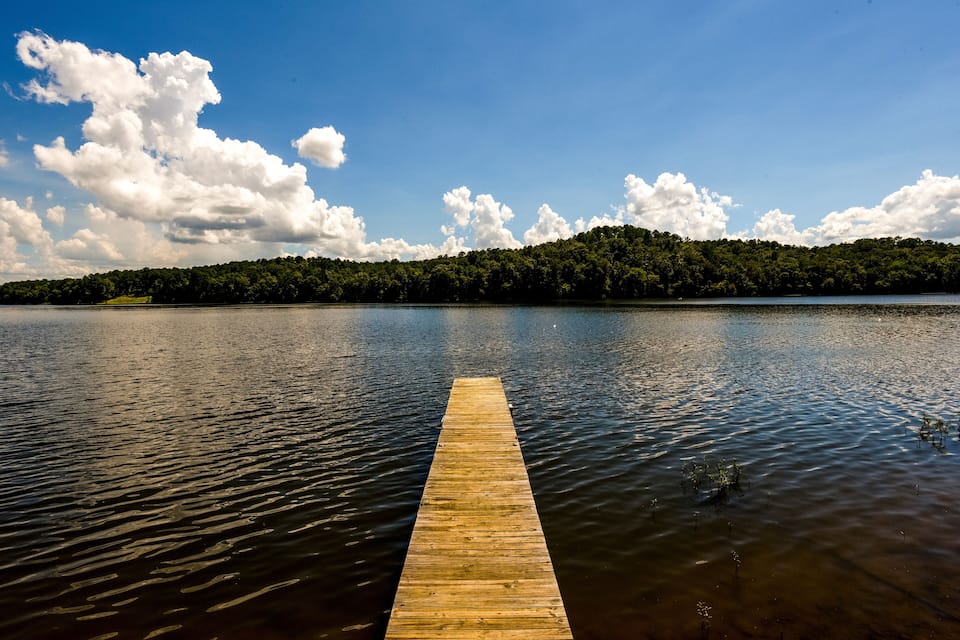 A wooden pier extending into a calm lake with a forested island in the background.