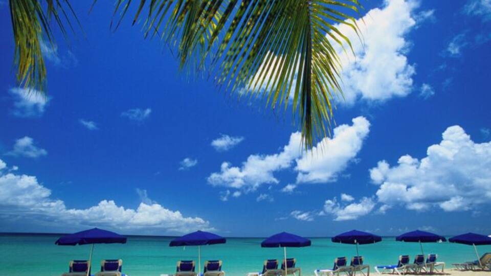 A beach with turquoise water, clear skies, and palm trees.