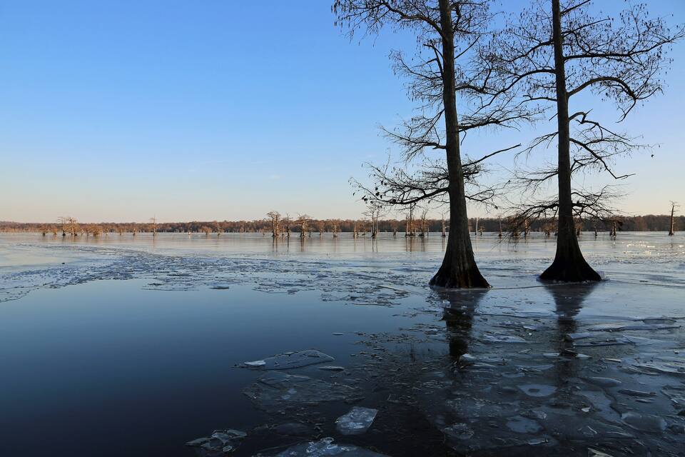 A frozen lake with bare trees in the foreground and a clear sky.