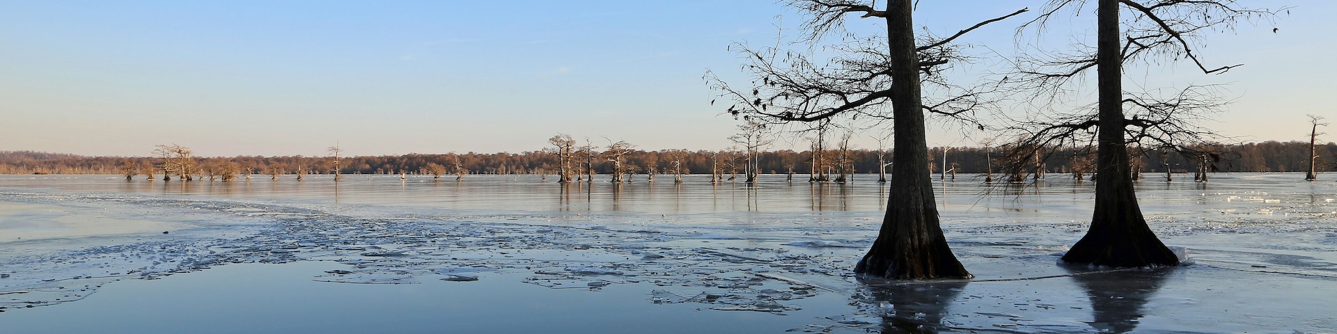 A frozen lake with bare trees in the foreground and a clear sky.