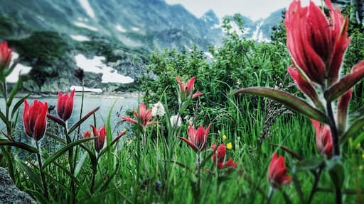 A short 2.5 mile hike in the alpine takes you through flowing streams and fields of wild flowers. Lake Isabel and it's neighboring lakes are a great spot for moose spotting!
#weekendgetaway