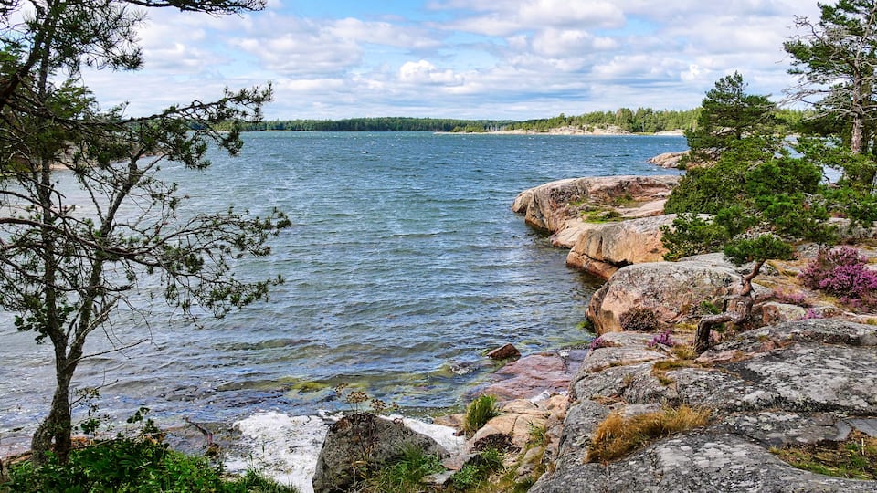 A rocky shoreline with clear water, surrounded by trees and a distant forest.