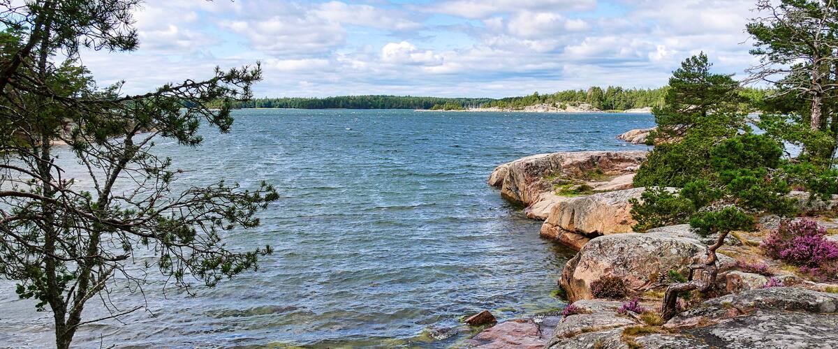 A rocky shoreline with clear water, surrounded by trees and a distant forest.