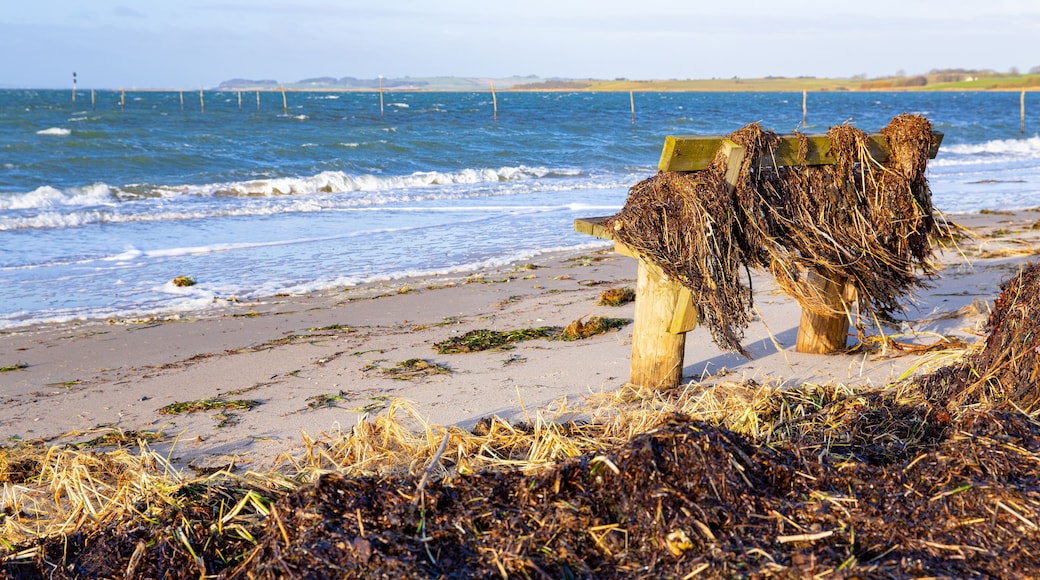 Scenic seaside in Mols Bjerge National Park near Knebel in Djursland, February, Denmark