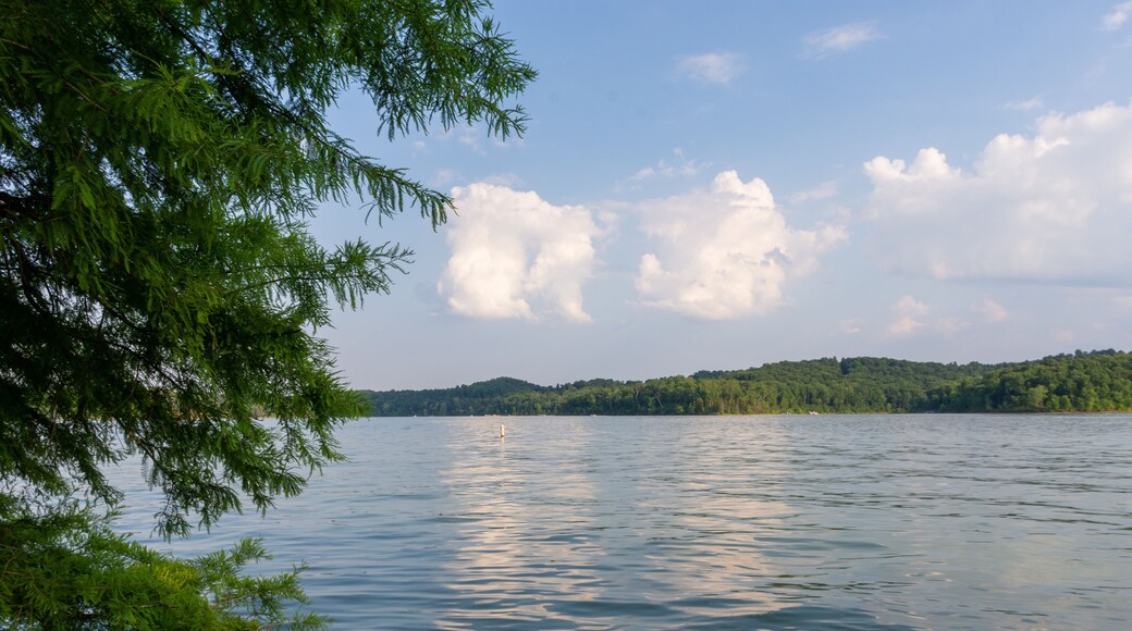 summer landscape from Moutardier Campground at Nolin River Lake in Kentucky