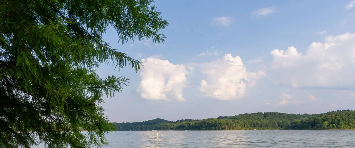 summer landscape from Moutardier Campground at Nolin River Lake in Kentucky