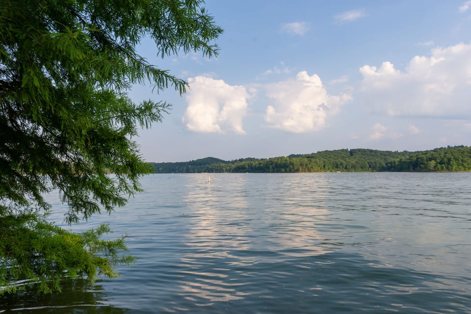 A calm lake with reflections of trees and clouds, surrounded by a forested shoreline.