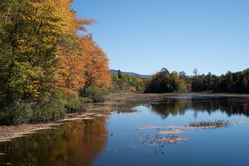 A calm lake surrounded by autumn-colored trees and a clear blue sky.