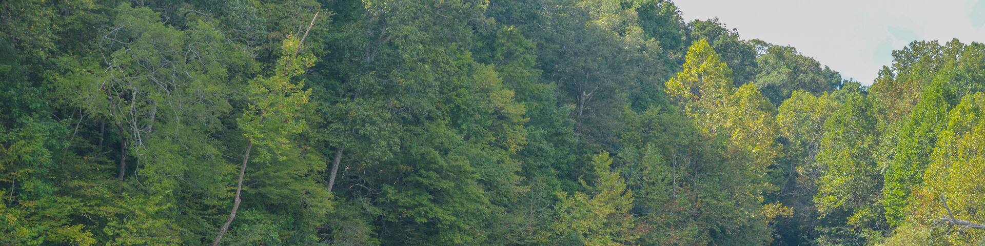 The Current River flows through the Ozark National Scenic Riverway through the mountains of Missouri