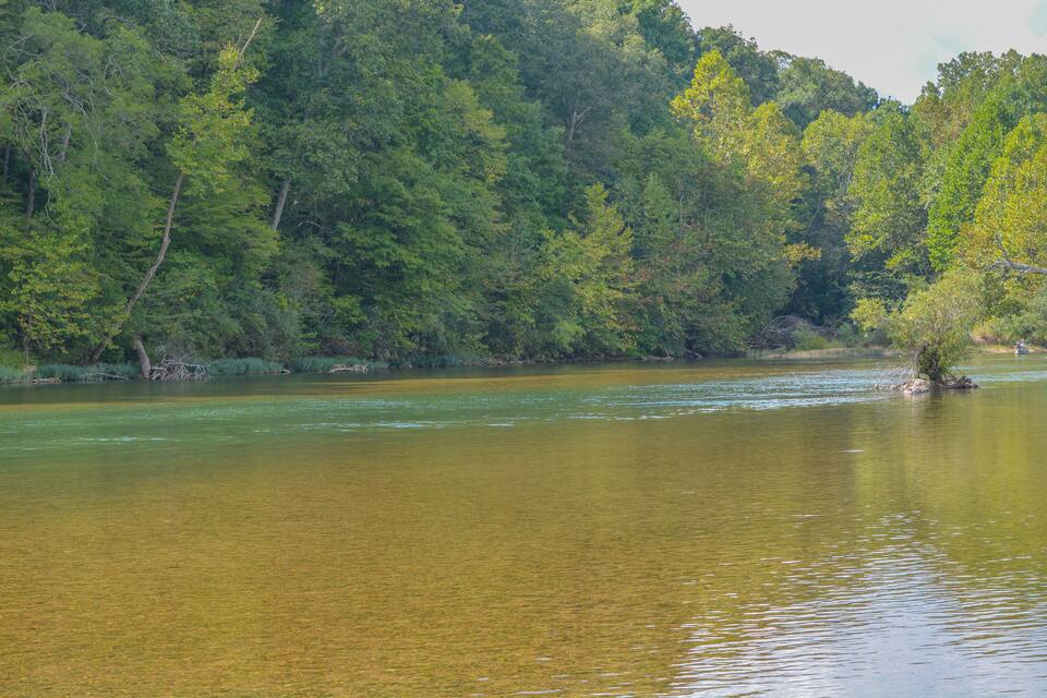 A river surrounded by dense green forest.