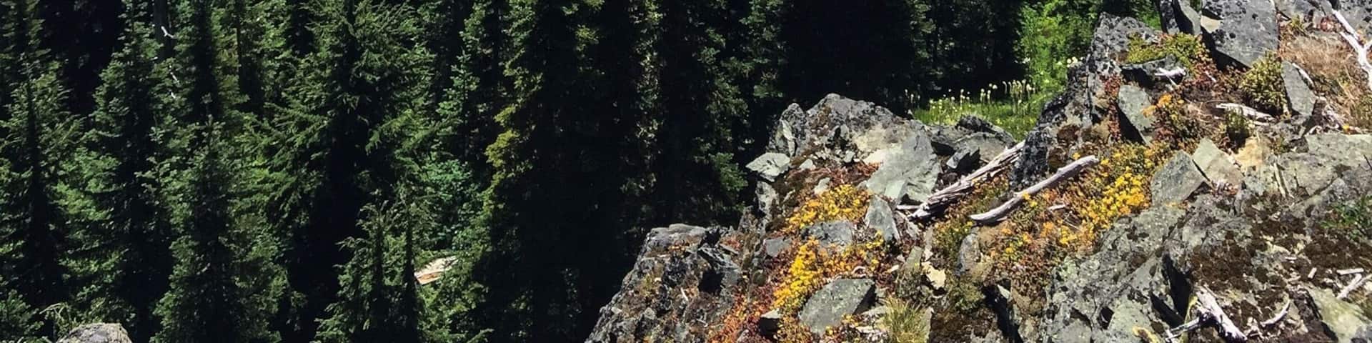 #takeahike #lifeatexpedia #bvsblue
A great medium difficulty hike with breathtaking views!