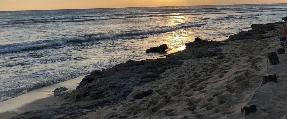 Sometimes, you have to stop. Take a moment and breathe. The #culture is beautiful just as much as the beauty in the culture! #hawaii