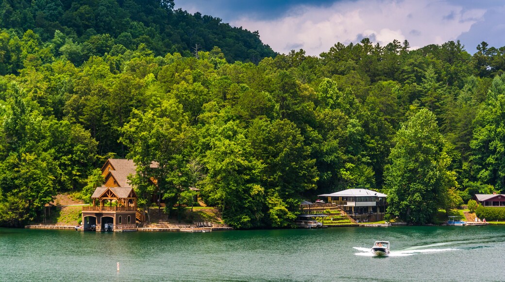 Houses along the shore of Lake Burton, in Georgia.
