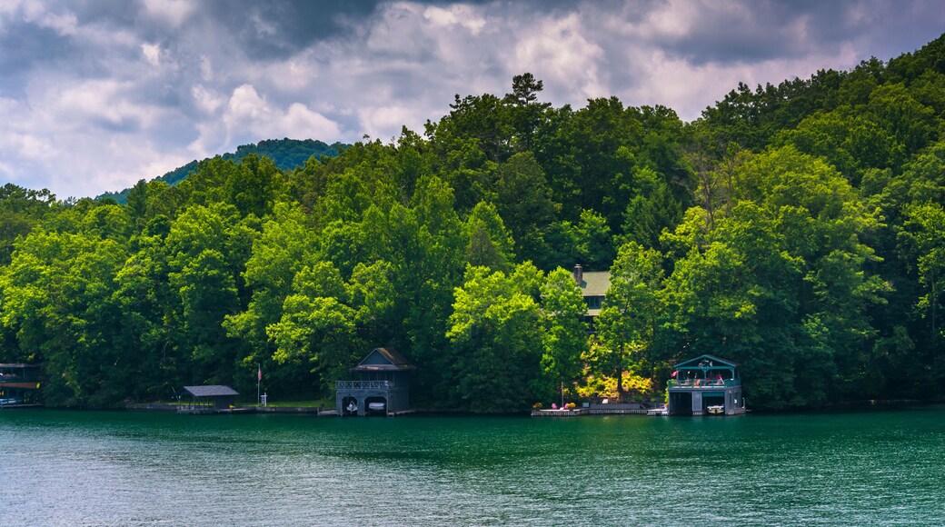 Houses along the shore of Lake Burton, in Georgia.