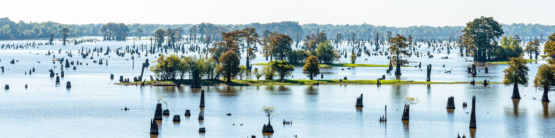 Panoramic view of the Bayou in Louisiana