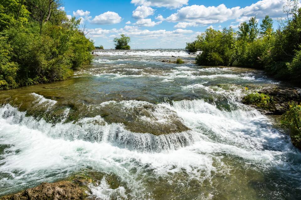 A river with white water rapids surrounded by lush greenery.