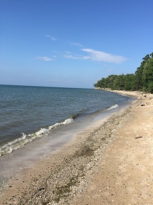 A hidden gem! We found a beach on Lake Erie, just off the side of the road as we travelled through Buffalo, NY!