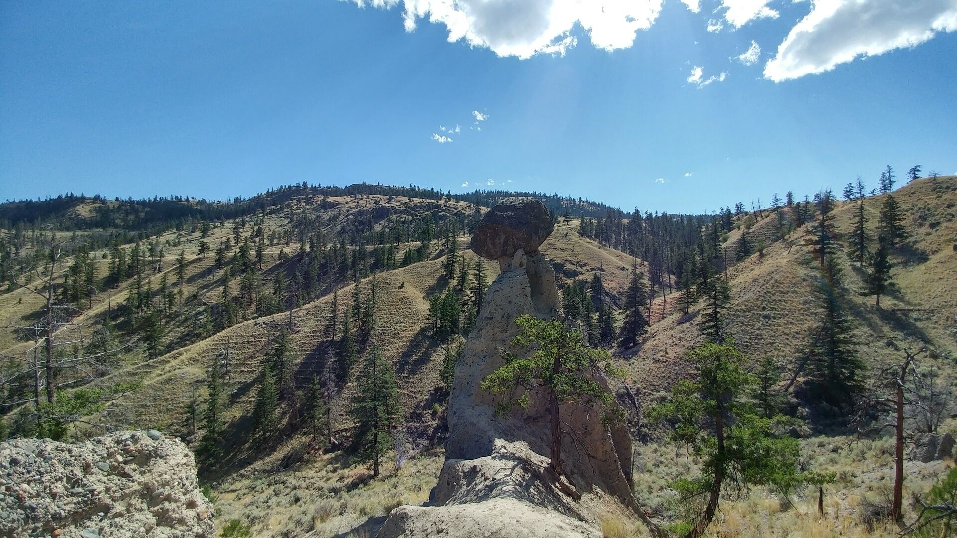 Hike to Balancing Rock near Kamloops Lake Rest Stop. Make sure to watch for cars when walking towards the gate.  Other option is to park near the gate but be sure to not block the drive way or you may get towed.