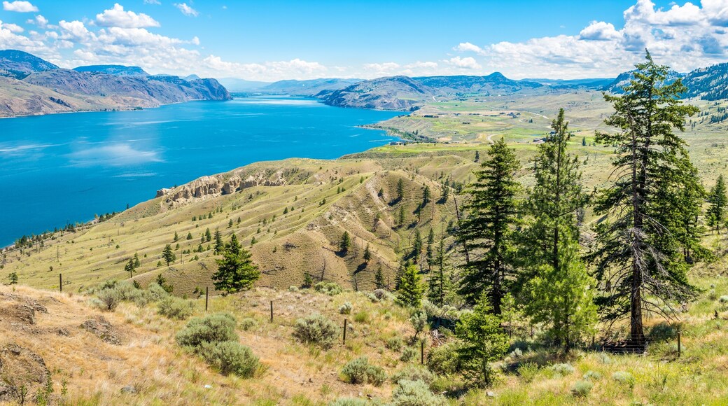 Llac Kamloops