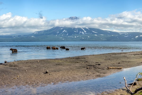 A lake with bears, a mountain range, and a cloudy sky.