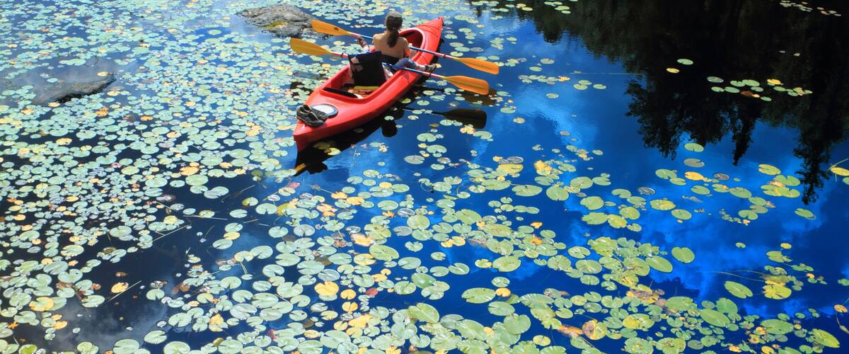 People canoeing