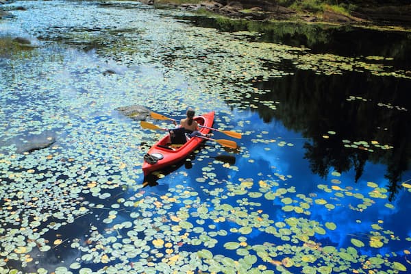 People canoeing