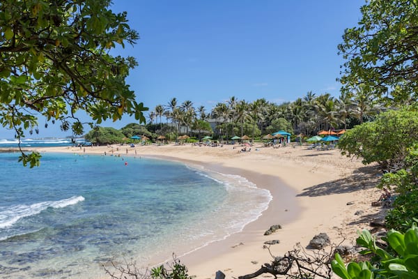 Turtle Bay Beach Resort