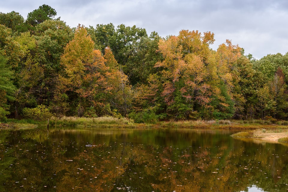 A calm lake surrounded by autumn-colored trees reflecting in the water.