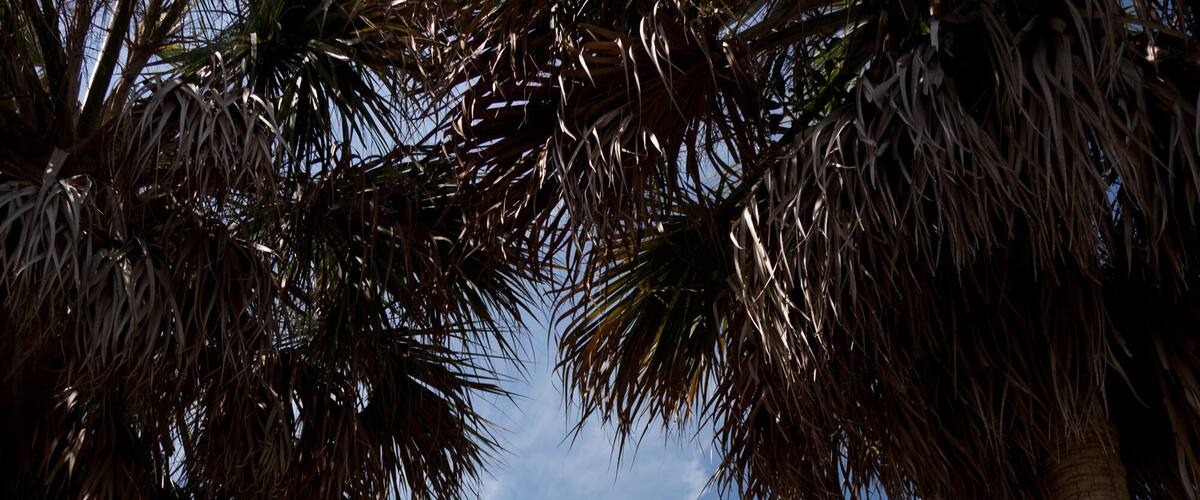 Water tower. Cabbage Key, Florida.