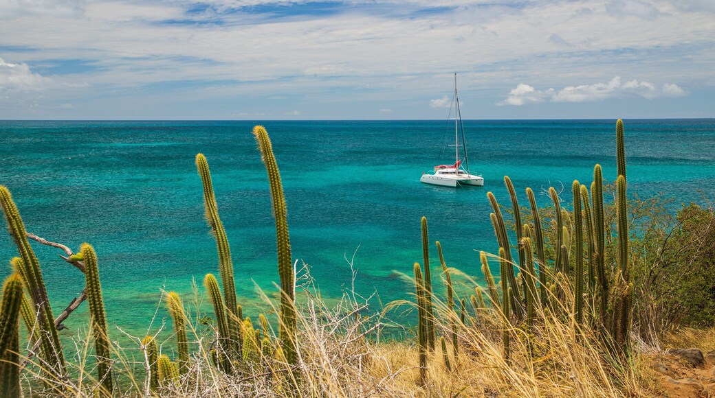 Friar\'s Bay featuring general coastal views