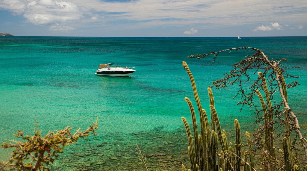 Friar\'s Bay showing general coastal views and boating