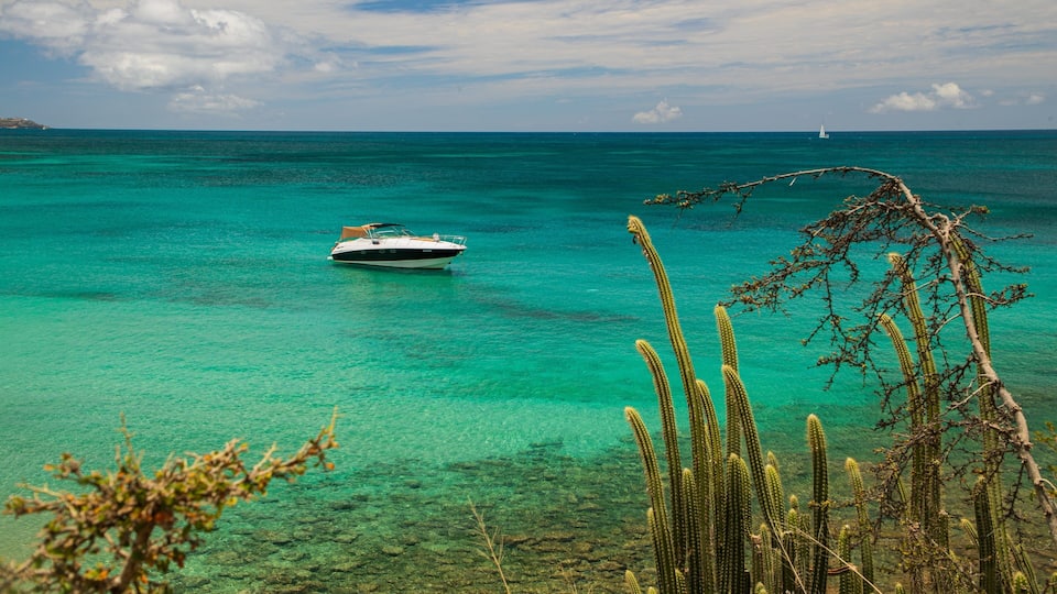 A boat on turquoise waters, a distant sailboat, and cacti in the foreground.