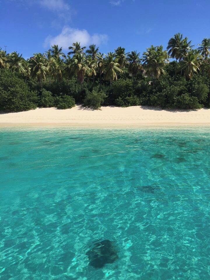 This secluded beach is easily one of my favourite places I've been to. Nothing on the island, clear water, white sand beach, no sharks. Get here by boat, Captain!