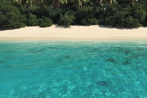 This secluded beach is easily one of my favourite places I've been to. Nothing on the island, clear water, white sand beach, no sharks. Get here by boat, Captain!