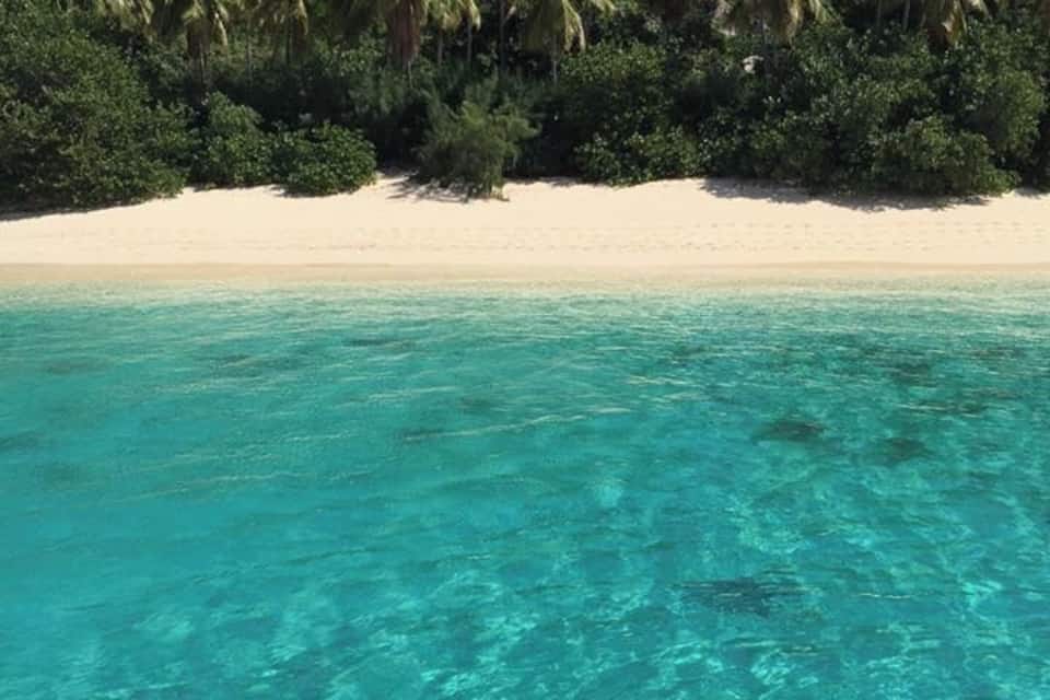 A clear turquoise sea, a sandy beach, and a line of palm trees.