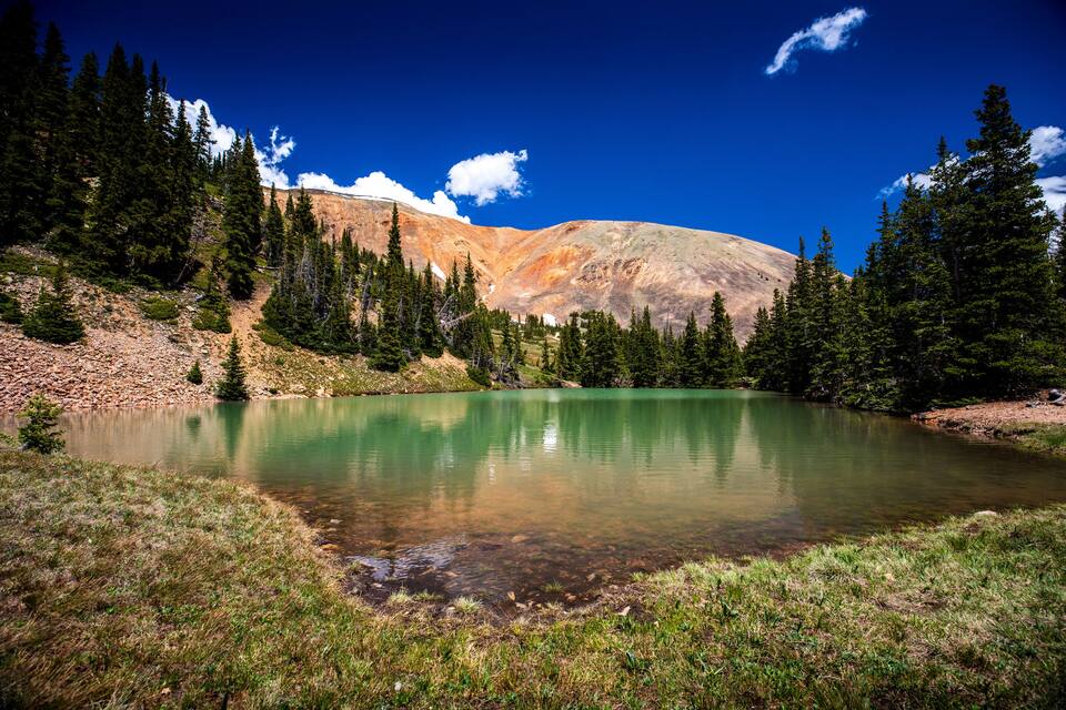 A mountain lake surrounded by evergreen trees and a clear blue sky.