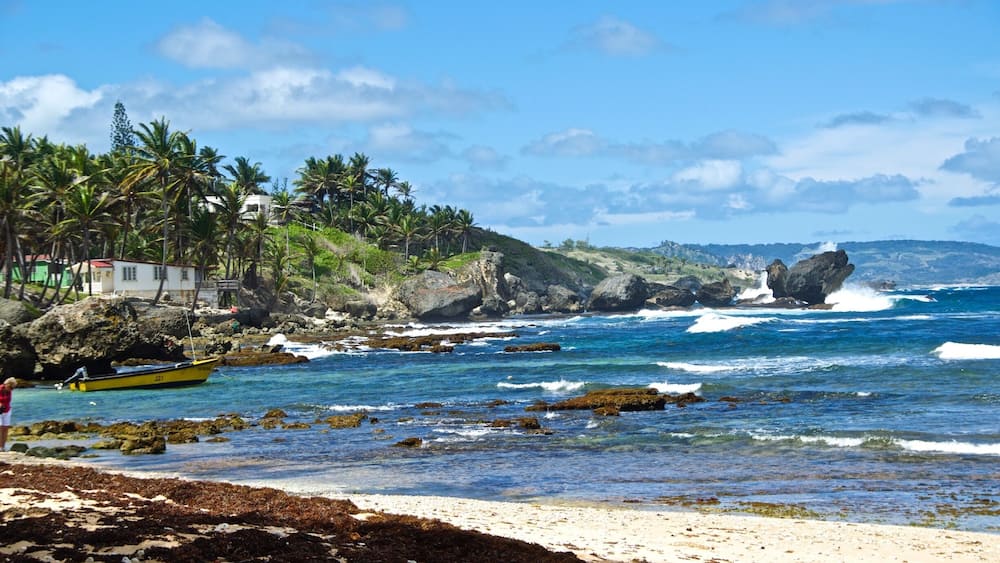 Visit the Bay Tavern at Martins Bay on the east coast or a great Bajan lunch. Sea cat, red snapper, stewed chicken or pork. Sit on the benches by the water and this will be your view