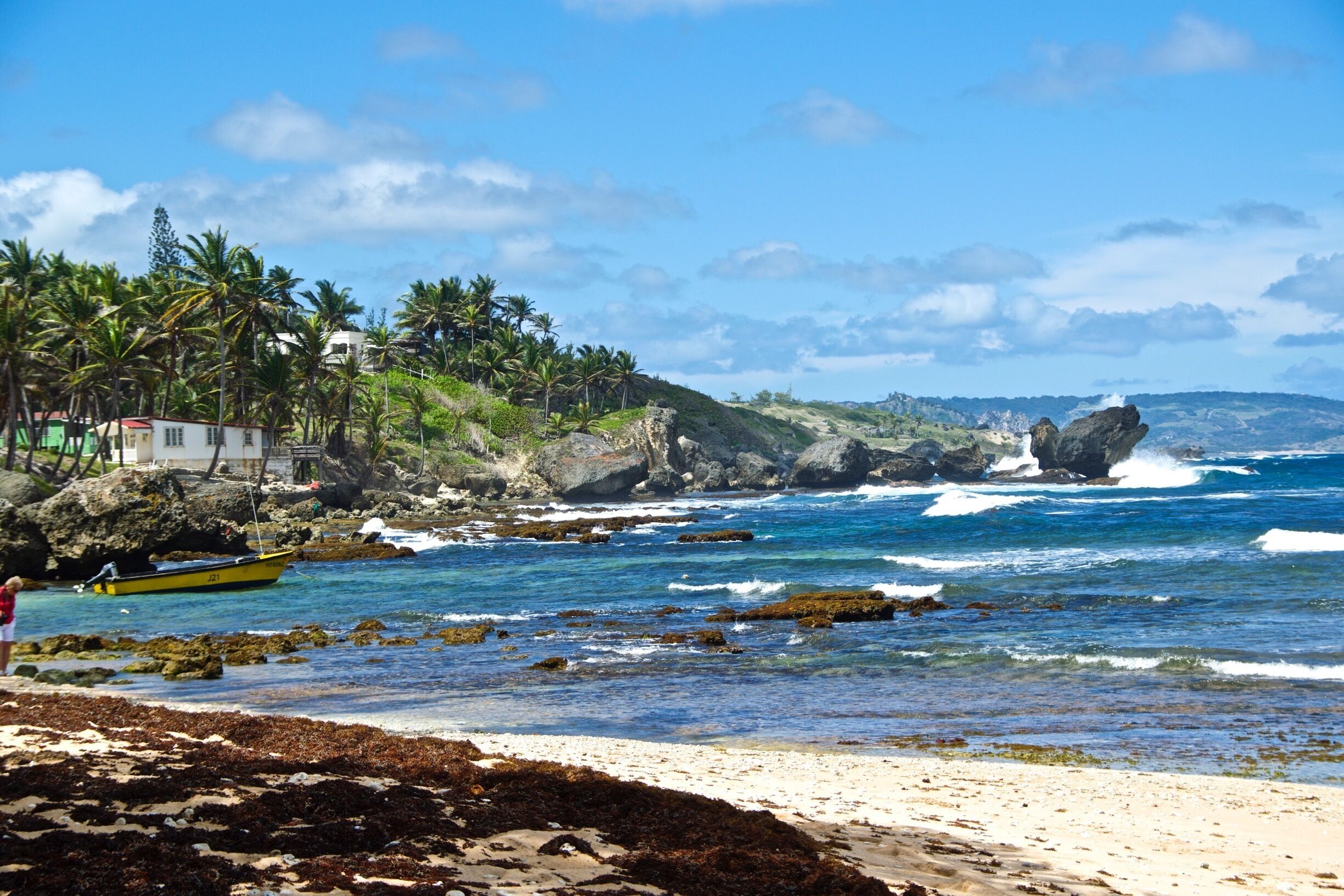 A beach with clear blue water, a rocky shoreline, and palm trees.