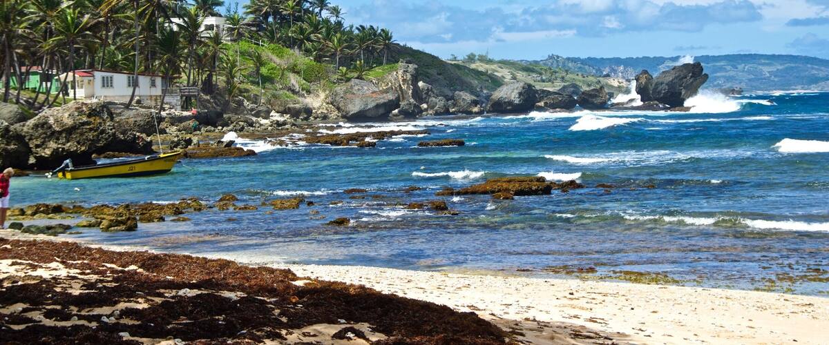 A beach with clear blue water, a rocky shoreline, and palm trees.