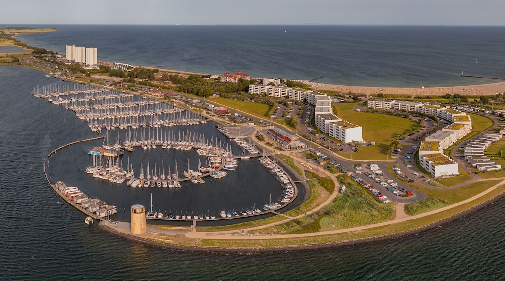 쉬트란트 부르크티퍼