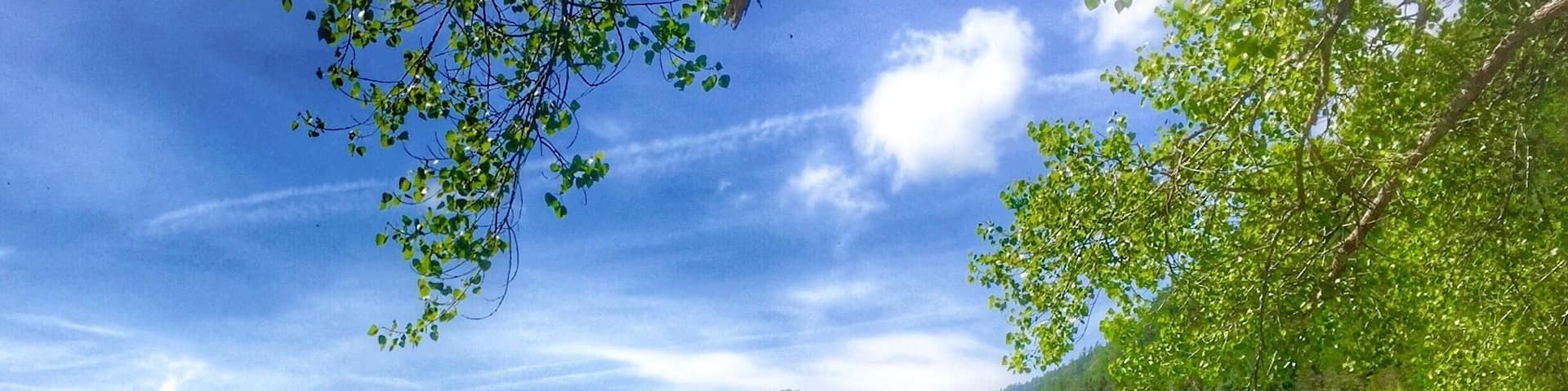 Beautiful Pillersee in Tyrol,Austria