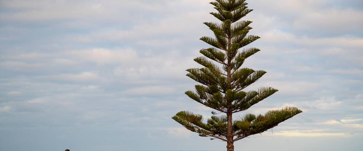 Encounter Bay showing general coastal views