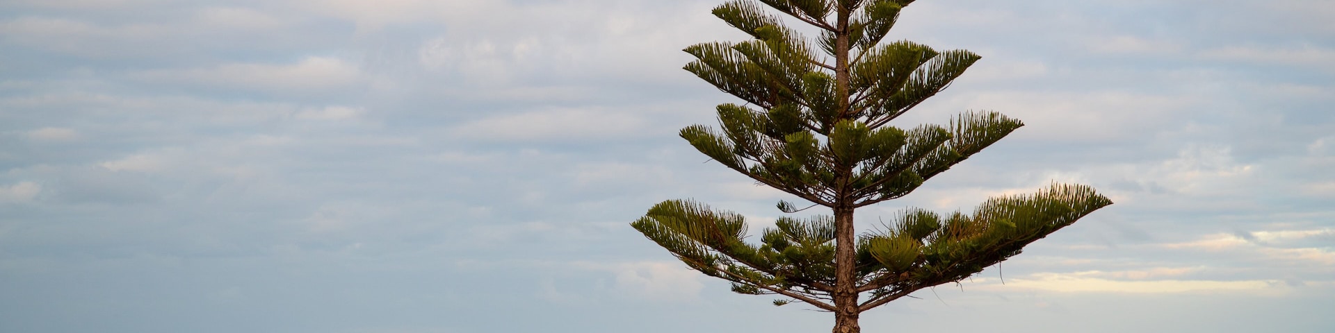 Encounter Bay showing general coastal views