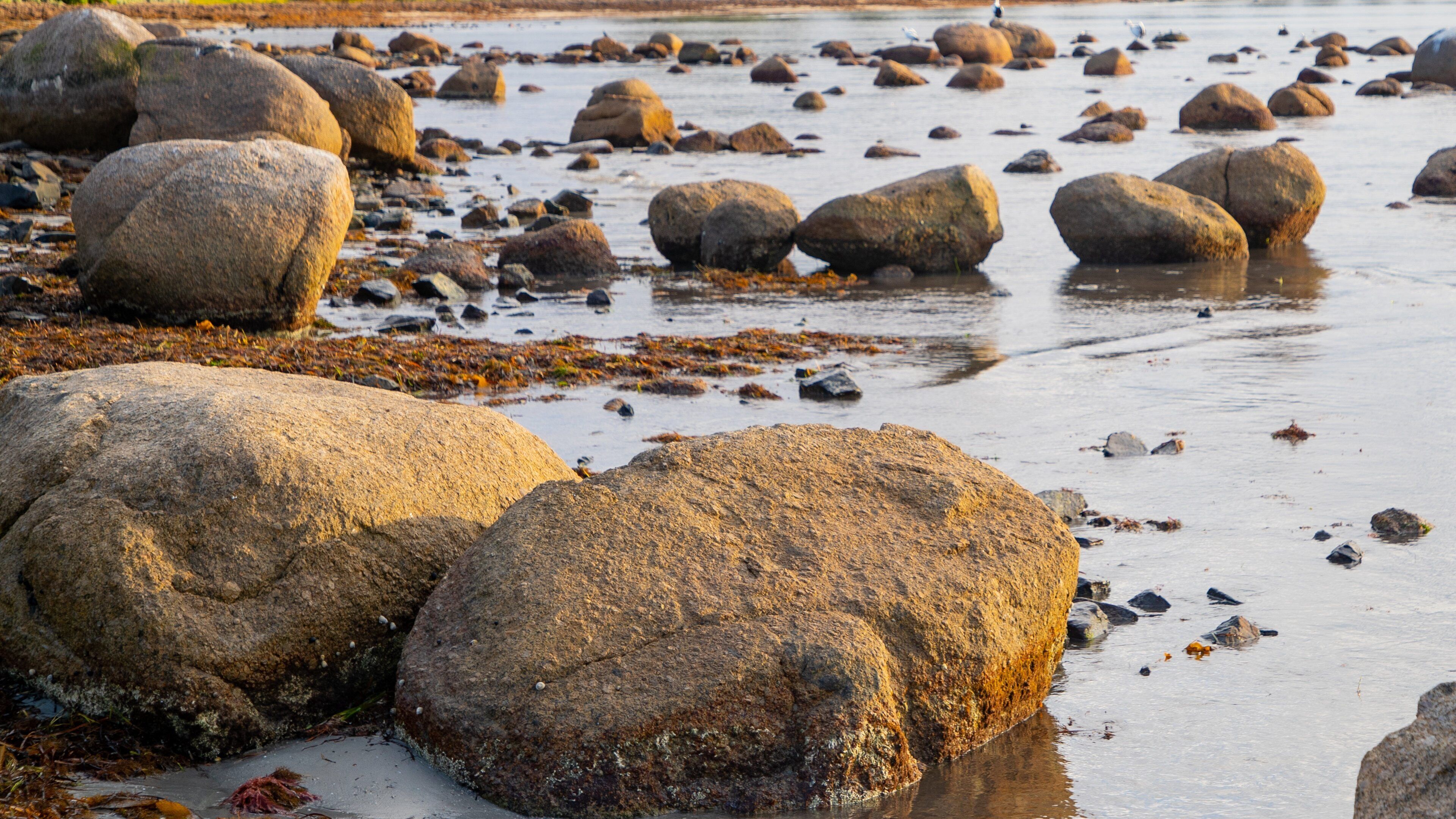 Encounter Bay featuring a pebble beach and general coastal views