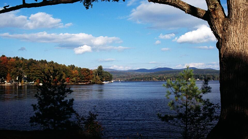 A lake with a tree in the foreground, a forested shoreline, and distant mountains under a partly cloudy sky.