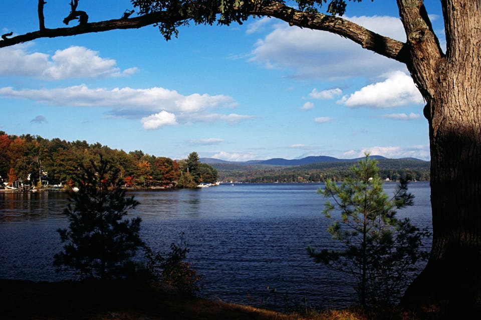 A lake with a tree in the foreground, a forested shoreline, and distant mountains under a partly cloudy sky.