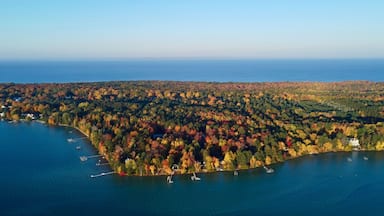 Aerial view of a lake with patches of bright colorful autumn trees in Greenwood