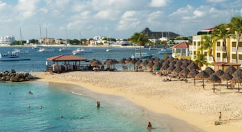Pelican Key showing a sandy beach, general coastal views and a coastal town